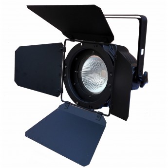 Прожекторы LED PAR PSL PAR COB 150 RGBW 40262